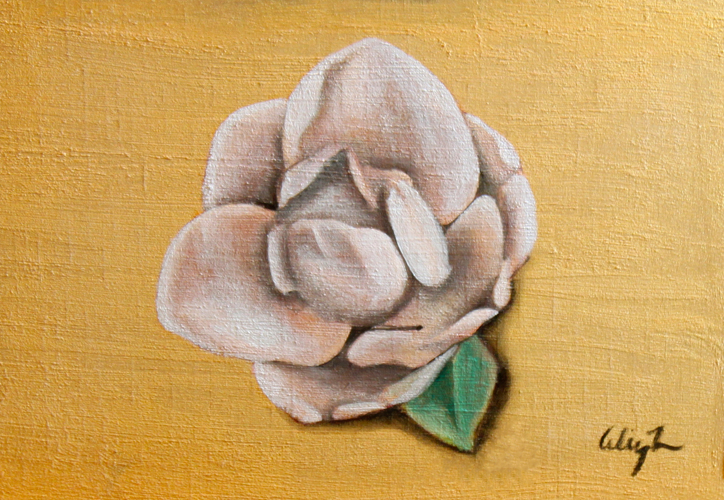 Magnolia Grandiflora